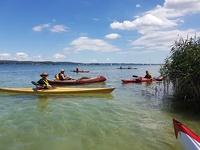 mit Kajaks auf dem Bodensee